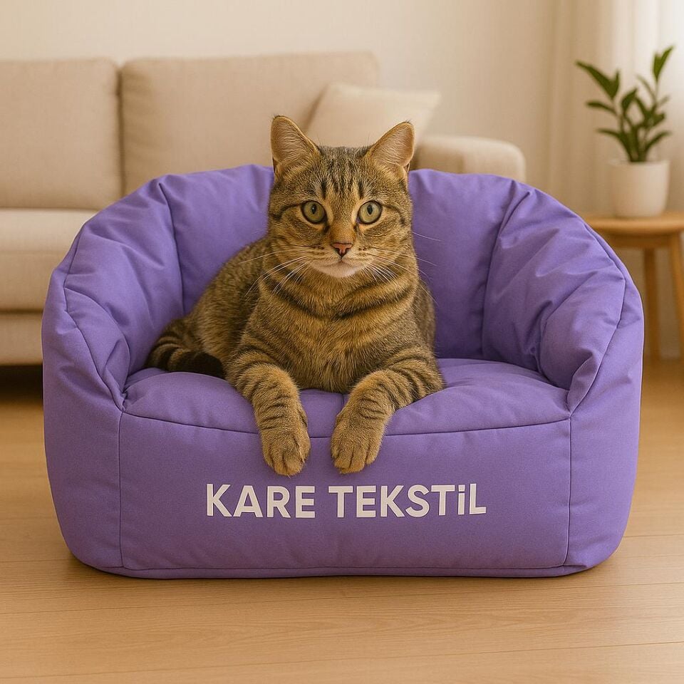 kedi ve köpek koltuğu