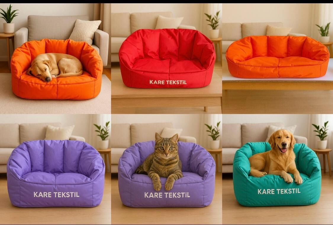 kedi ve köpek koltuğu