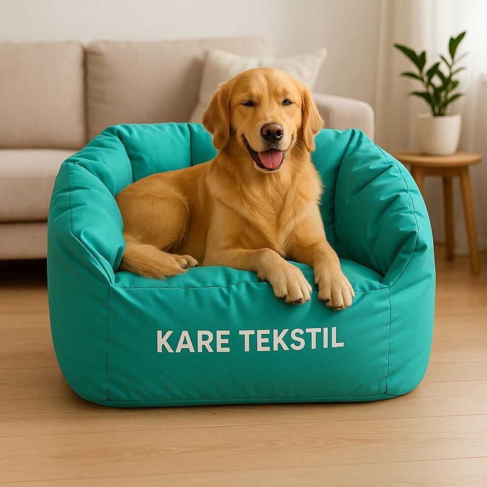 kedi ve köpek koltuğu